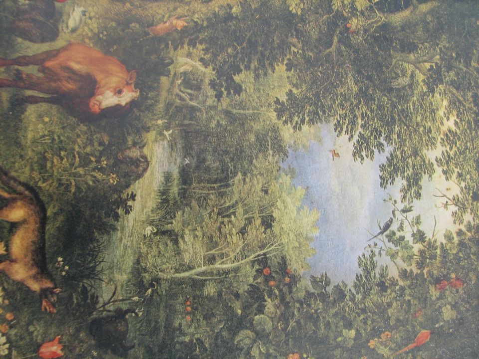 Flamen Kunst Breughel de Velours Monographie Jacques Combe 1943 in Kirkel