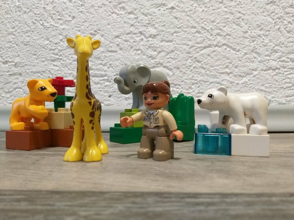 LEGO Duplo 4962 - Tierbabys in Wilhelmsthal