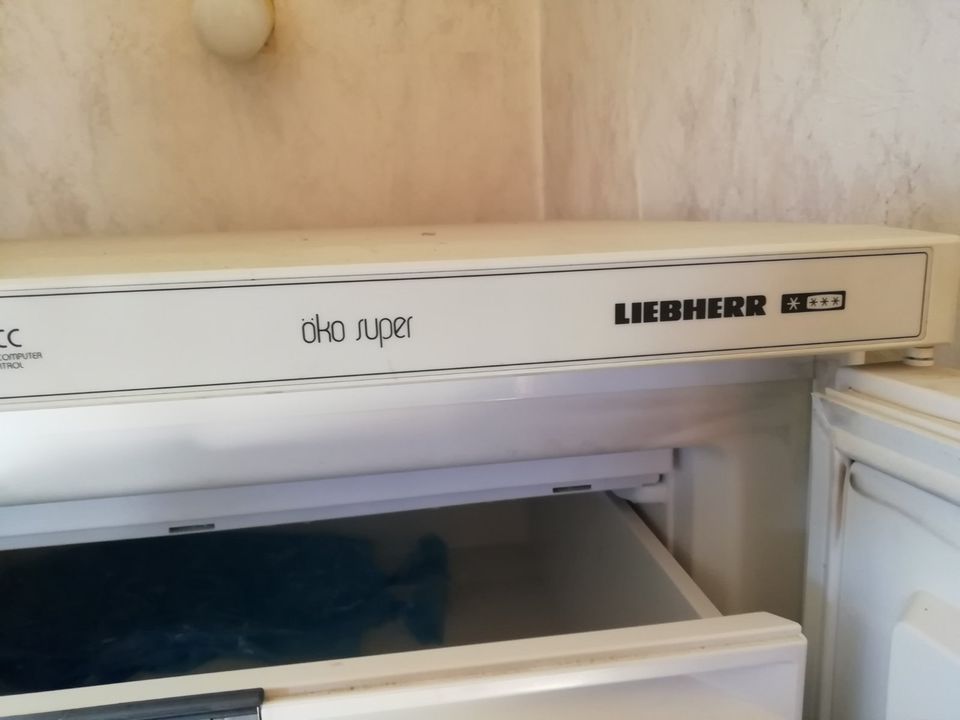 Liebherr Gefrierschrank öko super in Erolzheim