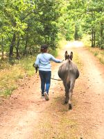 Eselwanderung, geführte Wanderung mit einem Esel Brandenburg - Finsterwalde Vorschau