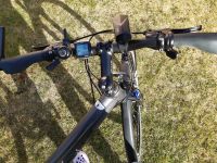 Trekkingfahrrad, Fahrrad BULLS 28 Zoll Bayern - Nabburg Vorschau