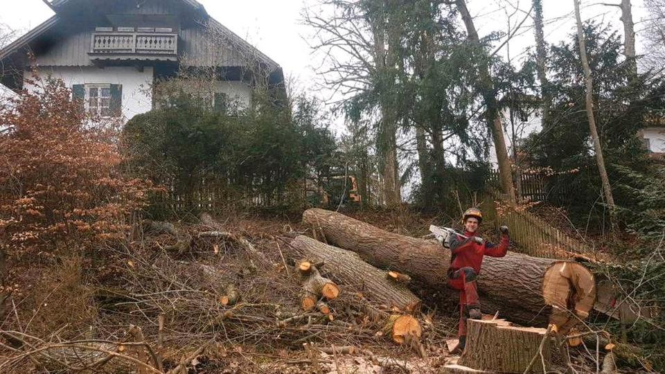Baumfällung, Baumkletterer, Problemfällung, Baum Abtragen in Peißenberg