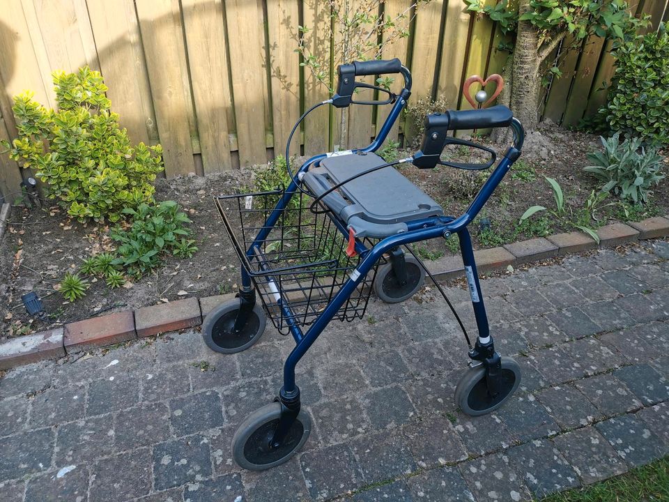 Rollator Gehwagen Dolomite in Wunstorf