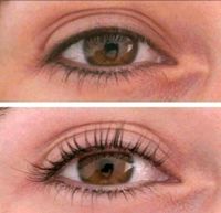 Schulung Wimpernlifting + Browlifting mit Zertifikat Hessen - Darmstadt Vorschau