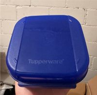 Tupperware Bellevue Vorratsbehälter Neu Baden-Württemberg - Esslingen Vorschau