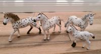 Schleich 4 Knabstrupper als Set (#16) Hessen - Gelnhausen Vorschau