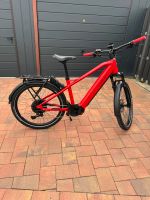 E-Bike NEU HNF Nicolai XD4 in M 45cm Purion200 +Kiox300 +SPGrip Rheinland-Pfalz - Worms Vorschau