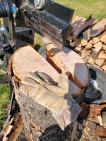 Suche Baumstämme Baumstamm Stamm Holz Hessen - Birstein Vorschau