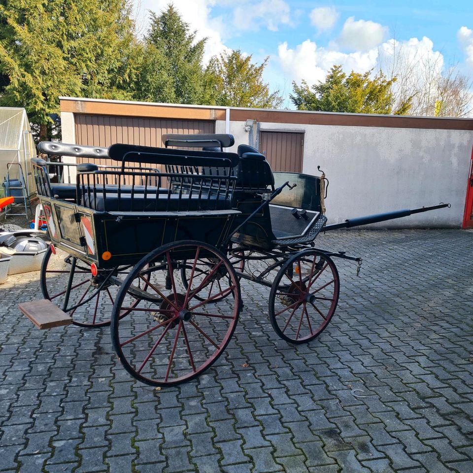 Wagonette Kutsche Jagdwagen Zweispänner und Einspänner in Herbertingen