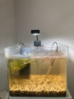 Aquarium 40 Liter mit Zubehör -> Bitte erst lesen!! Nordrhein-Westfalen - Langenfeld Vorschau