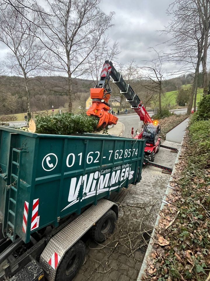 Holztransport Baumfällung Holzvermarktung Holzeinschlag in Altenkunstadt