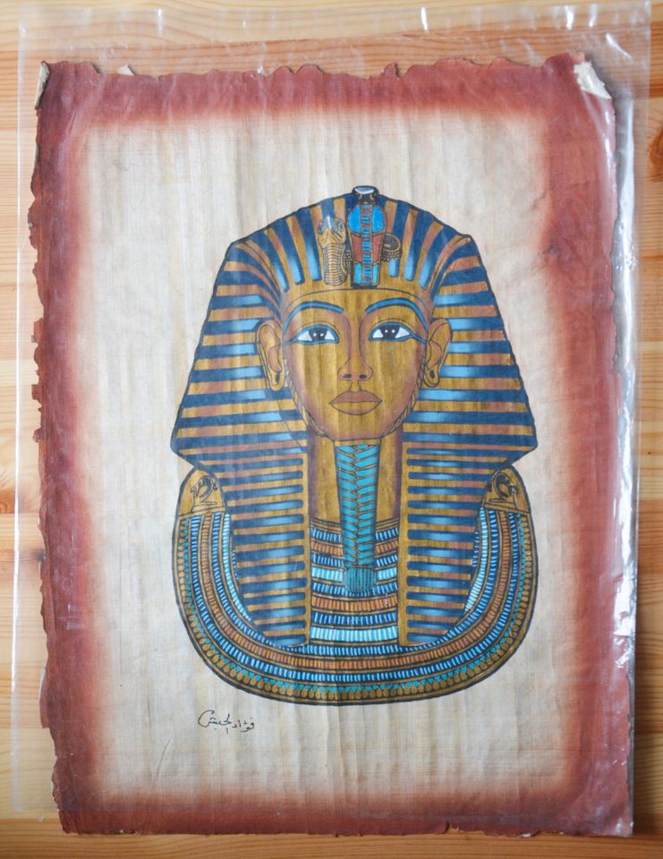 Papyrus Bilder Schöne Papyrus Bilder aus Ägypten x 11 in Osnabrück