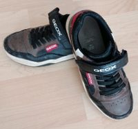 Geox Schuhe Größe 35 Baden-Württemberg - Notzingen Vorschau