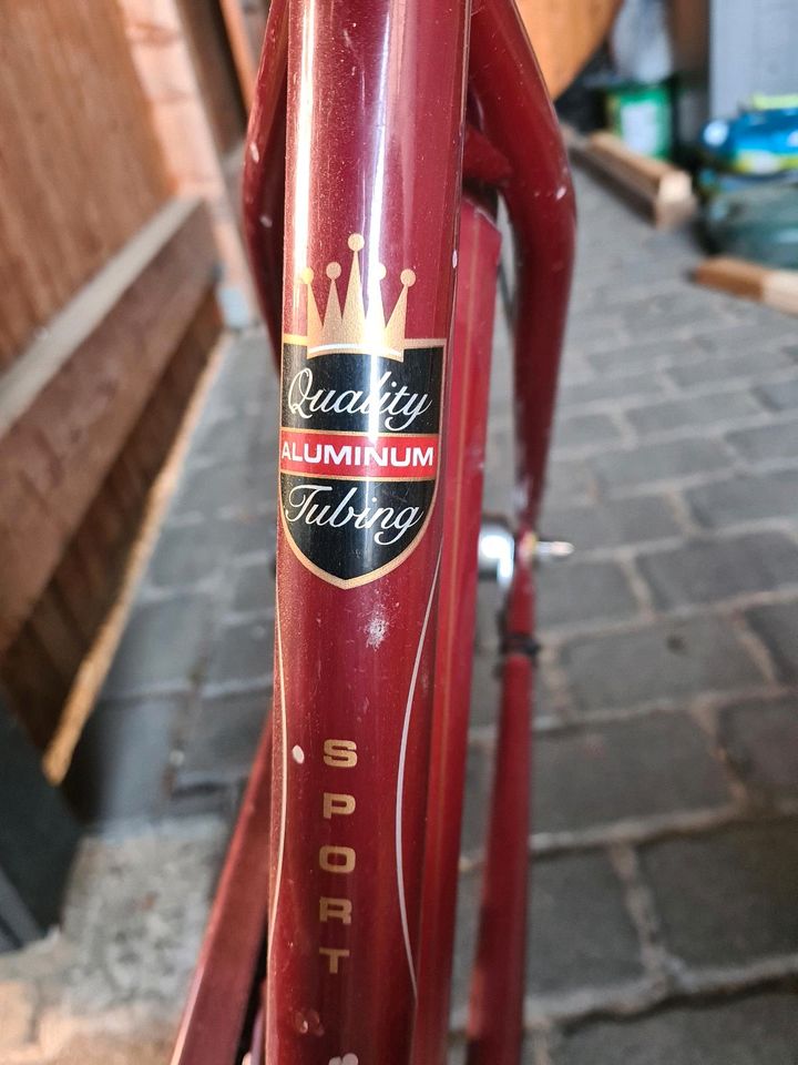 Electra Oldtimer Fahrrad  Bike in Neustadt am Rübenberge