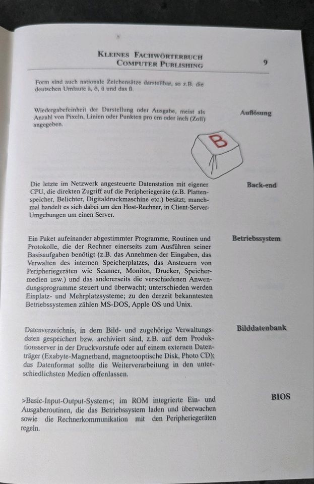 Kleines Fachwörterbuch Computer Publishing in Schkeuditz