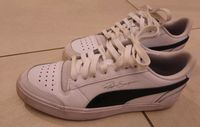 Puma/Sneaker/Schuhe/Gr. 37,5 Baden-Württemberg - Beuren Vorschau