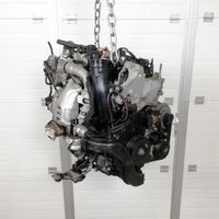 Motor Renault Nissan Opel 1.6 DCI R9M450 120 PS Brandenburg - Blankenfelde-Mahlow Vorschau