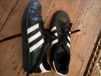 Adidas Superstar Nordrhein-Westfalen - Petershagen Vorschau