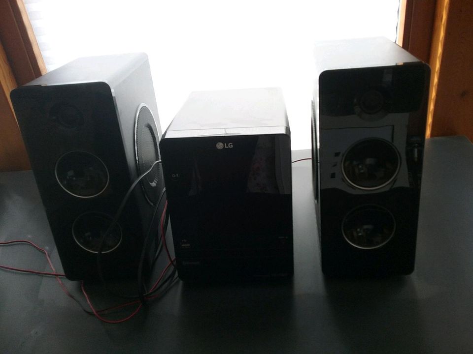 LG Micro Hi-Fi Audio Anlage 160W in Rickling