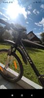 Fahrrad Stöckli Baden-Württemberg - Lahr (Schwarzwald) Vorschau