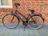 Fahrrad Rixe 28 Zoll Niedersachsen - Drebber Vorschau