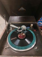 Grammophonschrank Homocord Grammophon Nordrhein-Westfalen - Hagen Vorschau