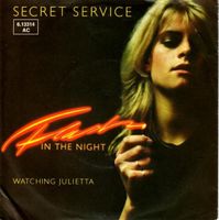 Secret Service – Flash In The Night Nordrhein-Westfalen - Morsbach Vorschau