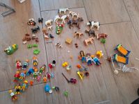 Playmobil Bauernhoftiere, Figuren etc. SAMMLUNG Hessen - Schöneck Vorschau