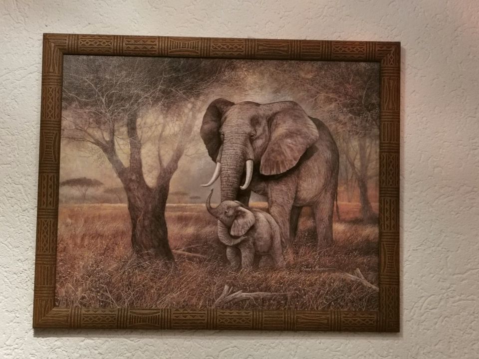 Bild Wandbild Elefant mit sehr schönem Bilderrahmen in Annaberg-Buchholz