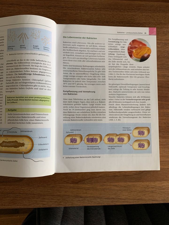 Duden Biologie 7/8 in Berlin