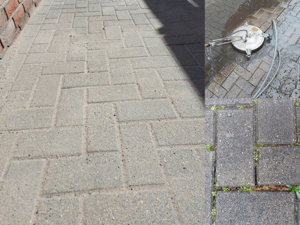 Hecke schneiden Heckenschnitt Sturmschaden Gärtner Garten Bäume in Bottrop