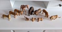 Schleich Zootiere Figuren Nordrhein-Westfalen - Alfter Vorschau