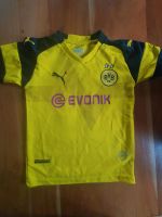 BVB Borussia Dortmund Kinder Trikot Reus Schleswig-Holstein - Bad Bramstedt Vorschau