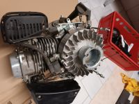 Briggs & Stratton Rasenmäher Motor Sachsen-Anhalt - Oppin Vorschau