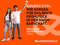 Nebenjob, Promotion, Studierende, Hausfrauen, Zusatzverdienst Hessen - Groß-Gerau Vorschau