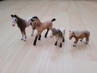 SCHLEICH Horse Club Fohlen Set - 4 Teile Bayern - Weilheim i.OB Vorschau