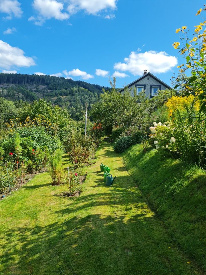 großer Garten mit Siedlungshaus, Garage + Carport Baugrundstück in Suhl