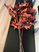 Getrocknete Blätter, ohne Vase Duisburg - Rheinhausen Vorschau