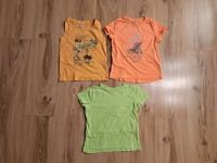 Set T-Shirt Dino orange grün Gr. 110 Harburg - Hamburg Hausbruch Vorschau