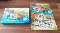 Puzzle 2x20 "Süße Tierbabys" Bayern - Rehau Vorschau