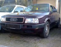 Audi 80 B4 Nebelscheinwerfer Schleswig-Holstein - Witzeeze Vorschau