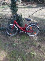 Bergamont Kinderfahrrad 20" Fahrrad Hessen - Offenbach Vorschau