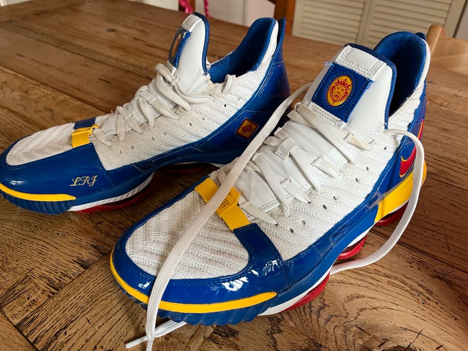 Lebron 16sb clearance