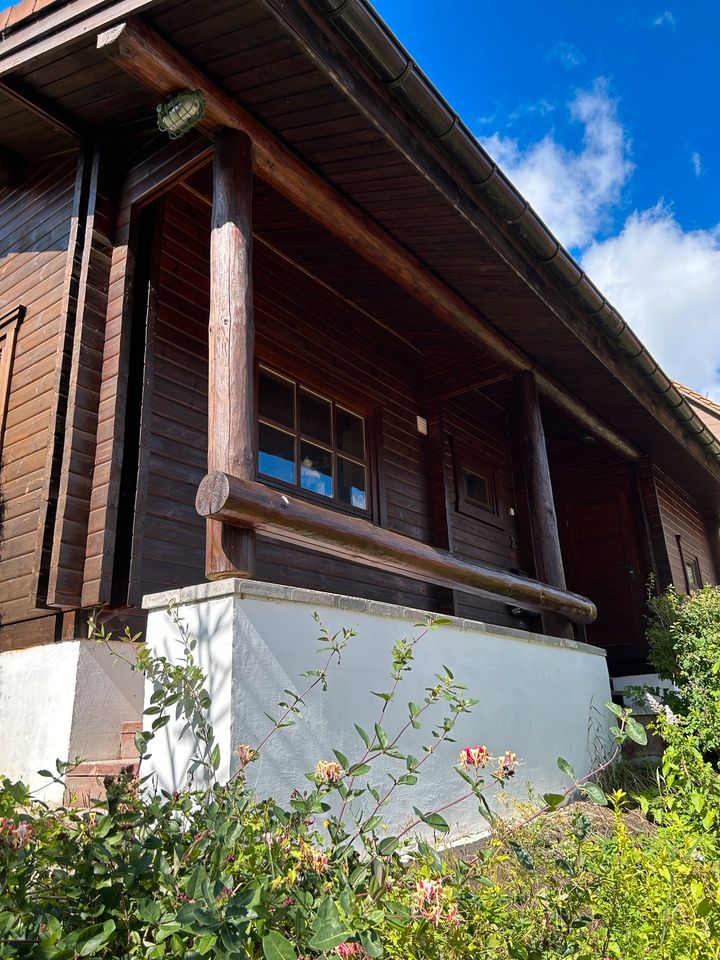 Ferienblockhaus im Harz Wildemann auf 800m2 Eigentumsgrundstück in Wildemann