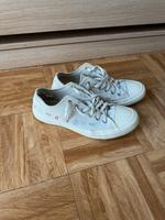 Converse Größe 39,5 in beige Nordrhein-Westfalen - Euskirchen Vorschau