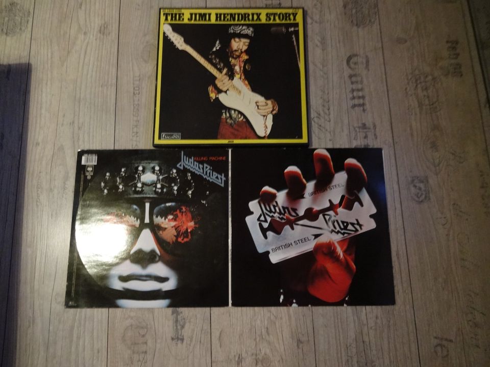 Schallplattensammlung Vinyls LPs Rock,Pop..... Stück 30 Euro in Bremen