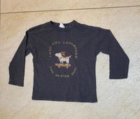 Braunes Langarmshirt ZARA Gr. 104 Hund auf Skateboard Sachsen - Limbach-Oberfrohna Vorschau