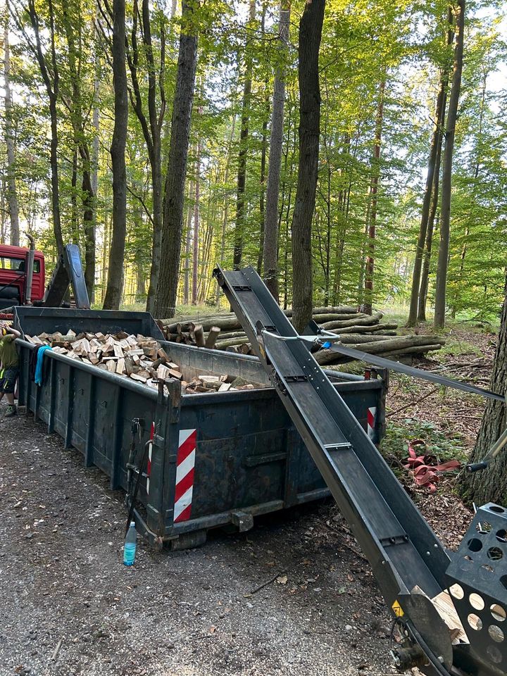 Brennholz Lohnspalten Sägespalten in Dornburg