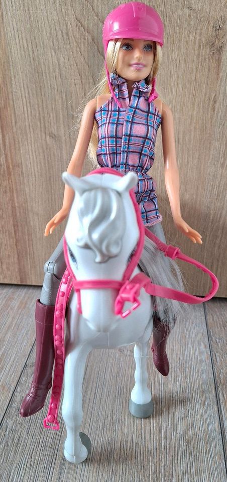 Barbie mit Pferd in Drensteinfurt