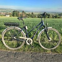 Elektro-Fahrrad 28 Zoll Hessen - Dornburg Vorschau